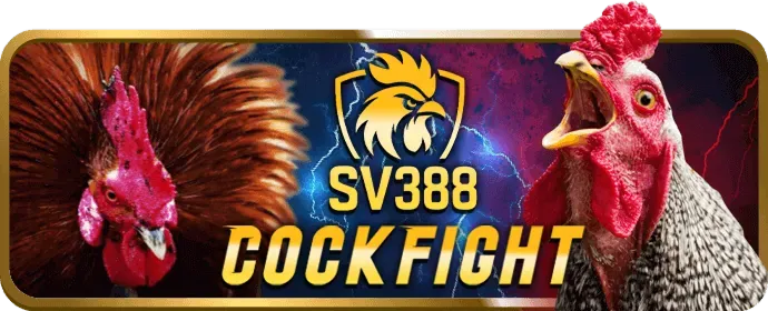 Đội ngũ 58win1 login